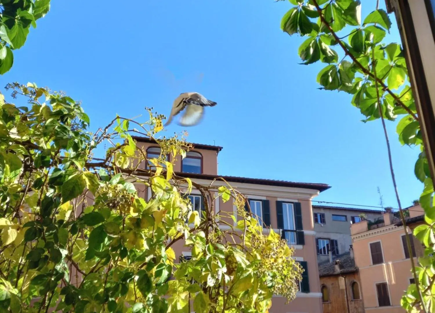 Central Apartment In Trastevere Rome Italy